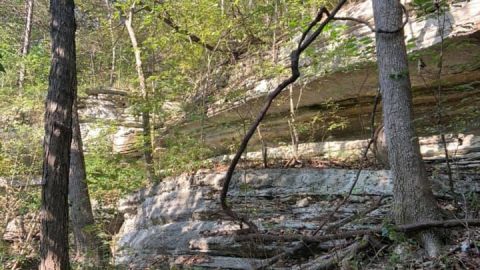 State Line Survey